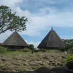Ruteng pu'u